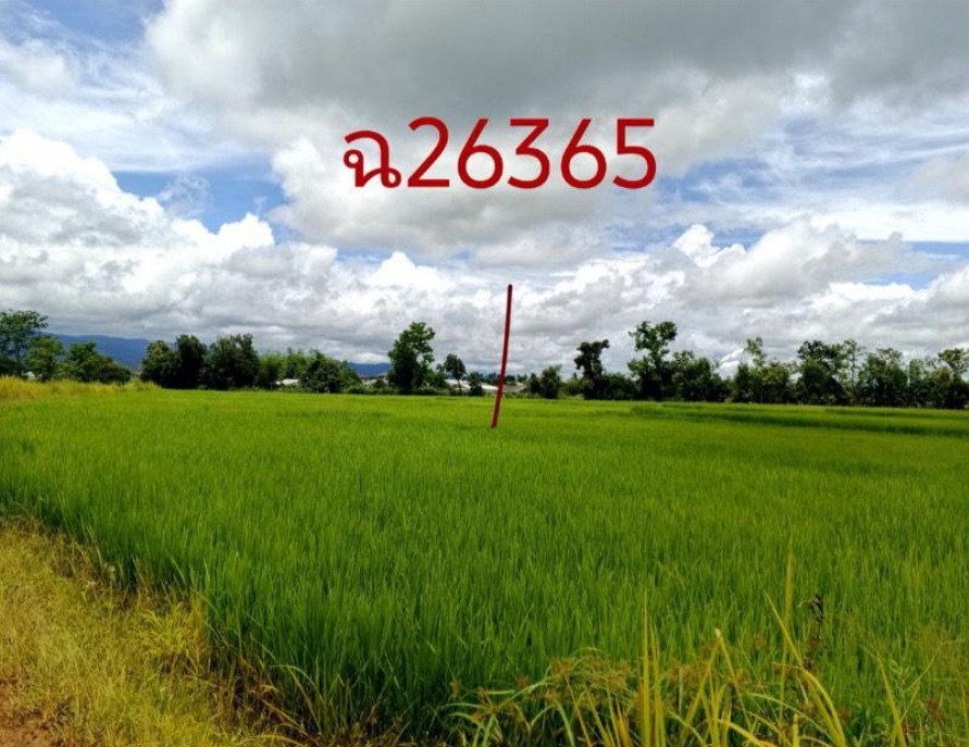 รูปที่ดินพร้อมสิ่งปลูกสร้าง ป่างิ้ว เวียงป่าเป้า เชียงราย