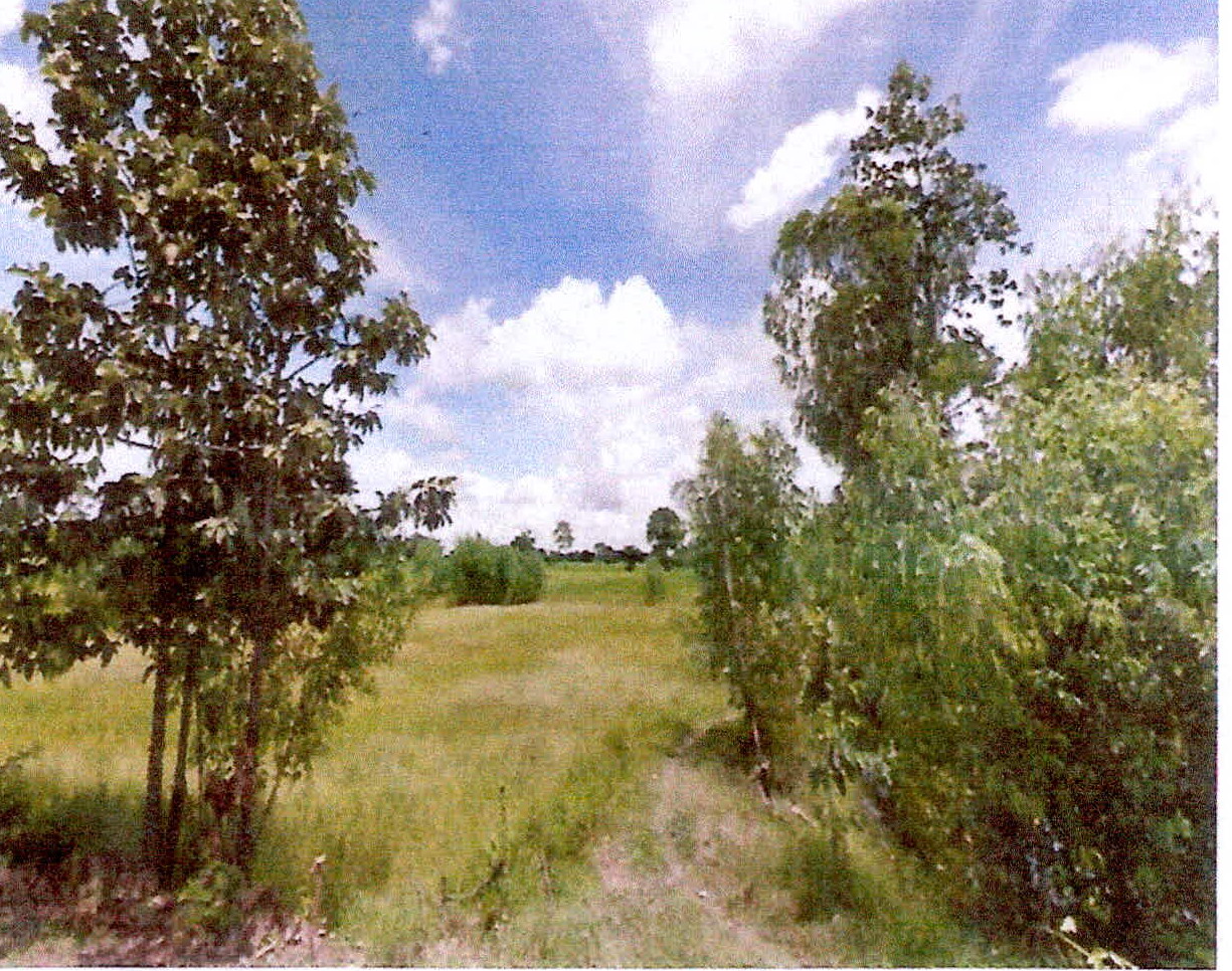 รูปที่ดินว่างเปล่า สำโรงปราสาท ปรางค์กู่ ศรีสะเกษ