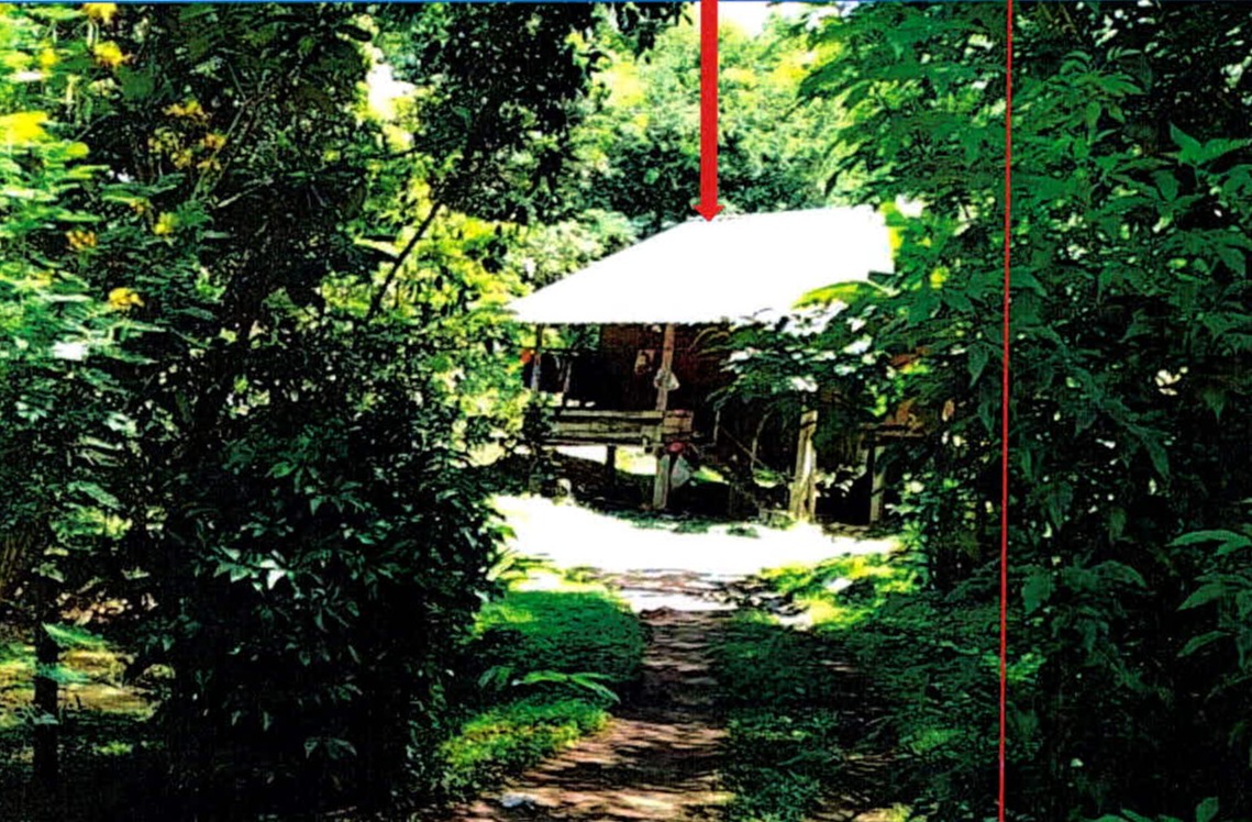 รูปที่ดินว่างเปล่า นาสัก แม่เมาะ ลำปาง