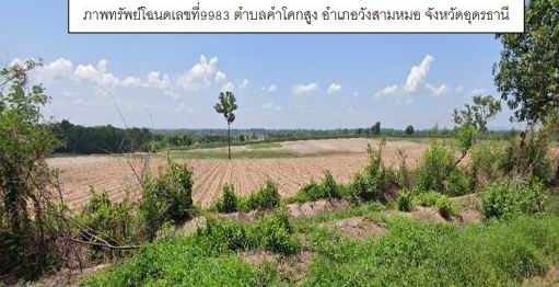 รูปที่ดินว่างเปล่า คำโคกสูง วังสามหมอ อุดรธานี