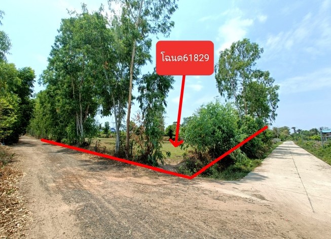 รูปที่ดินว่างเปล่า ไพศาล ประโคนชัย บุรีรัมย์