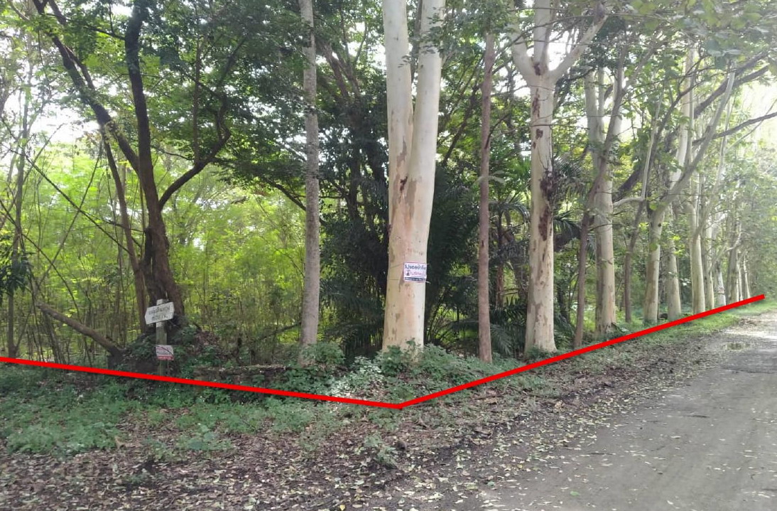 รูปที่ดินว่างเปล่า แม่ฮ้อยเงิน ดอยสะเก็ด เชียงใหม่