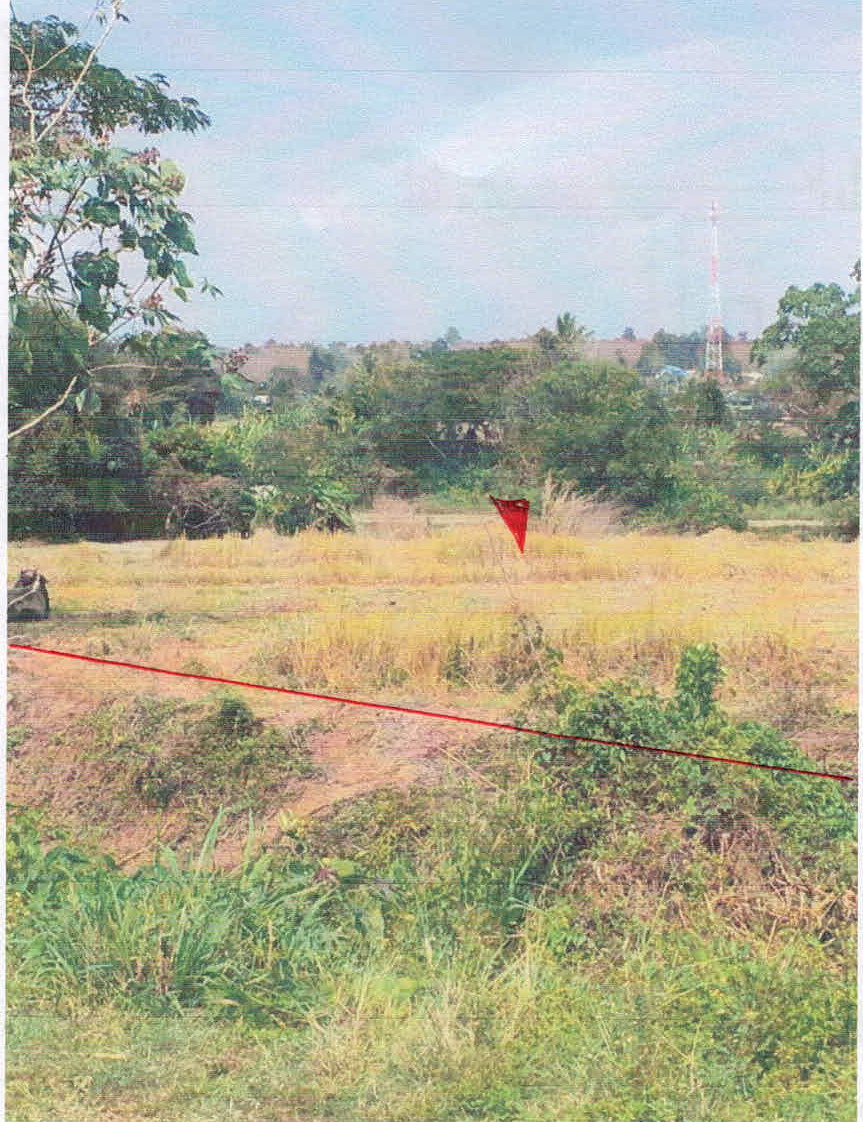 รูปที่ดินว่างเปล่า เมืองปาน เมืองปาน ลำปาง