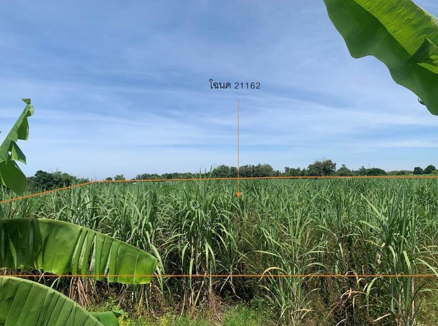 รูปที่ดินว่างเปล่า หนองบัว บ้านฝาง ขอนแก่น