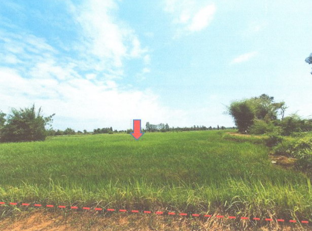 รูปที่ดินว่างเปล่า บ้านผึ้ง เมืองนครพนม นครพนม
