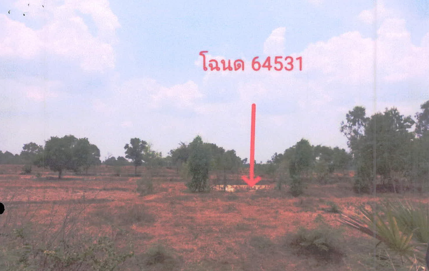 รูปที่ดินว่างเปล่า โนนสัง กันทรารมย์ ศรีสะเกษ