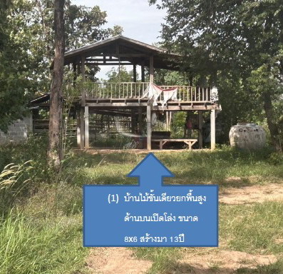 รูปที่ดินพร้อมสิ่งปลูกสร้าง ห้องแซง เลิงนกทา ยโสธร