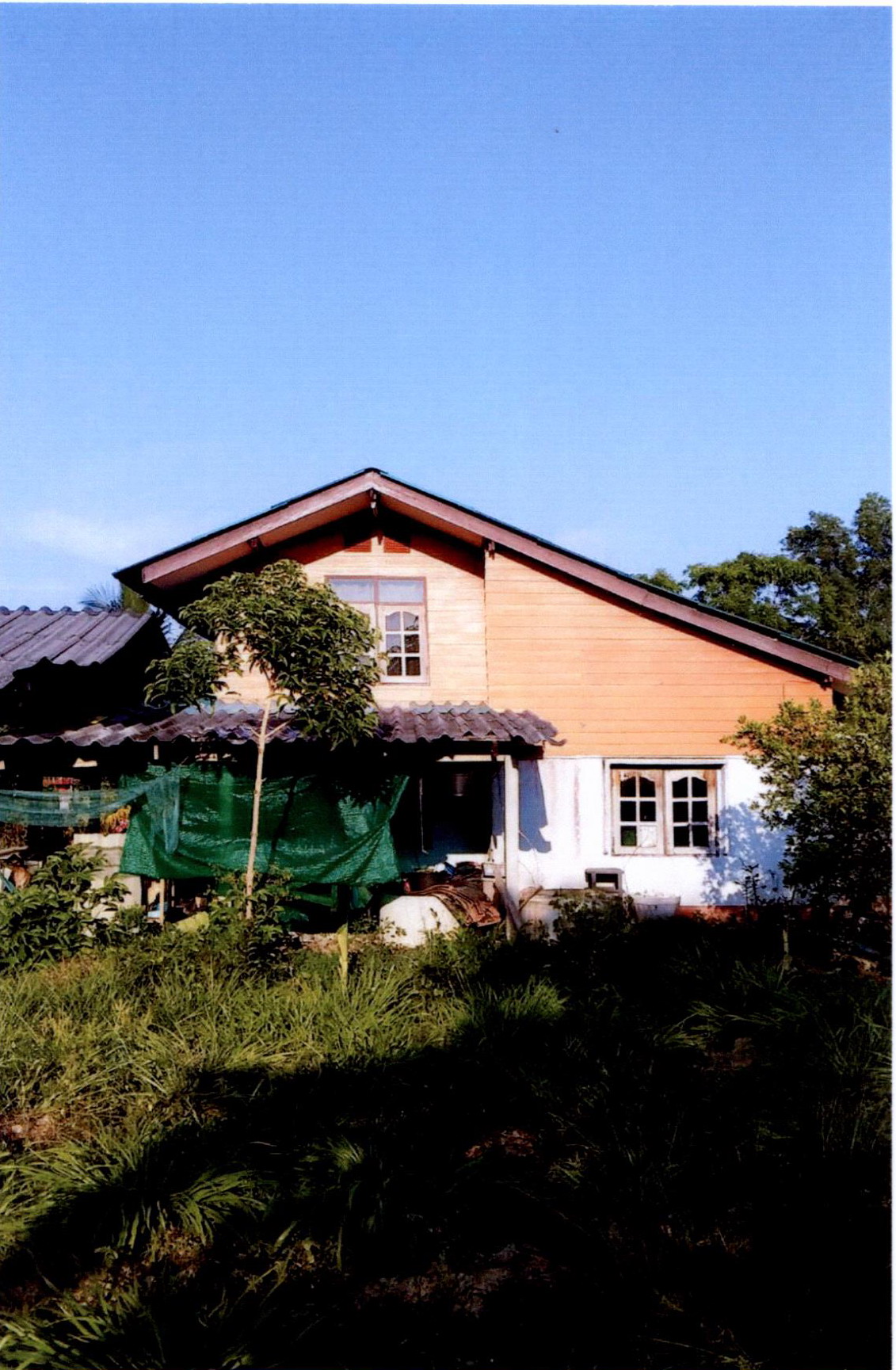 รูปที่ดินพร้อมสิ่งปลูกสร้าง ตะแพน ศรีบรรพต พัทลุง