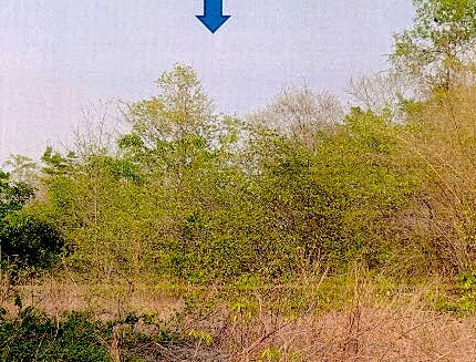 รูปที่ดินว่างเปล่า นาแก้ว เกาะคา ลำปาง