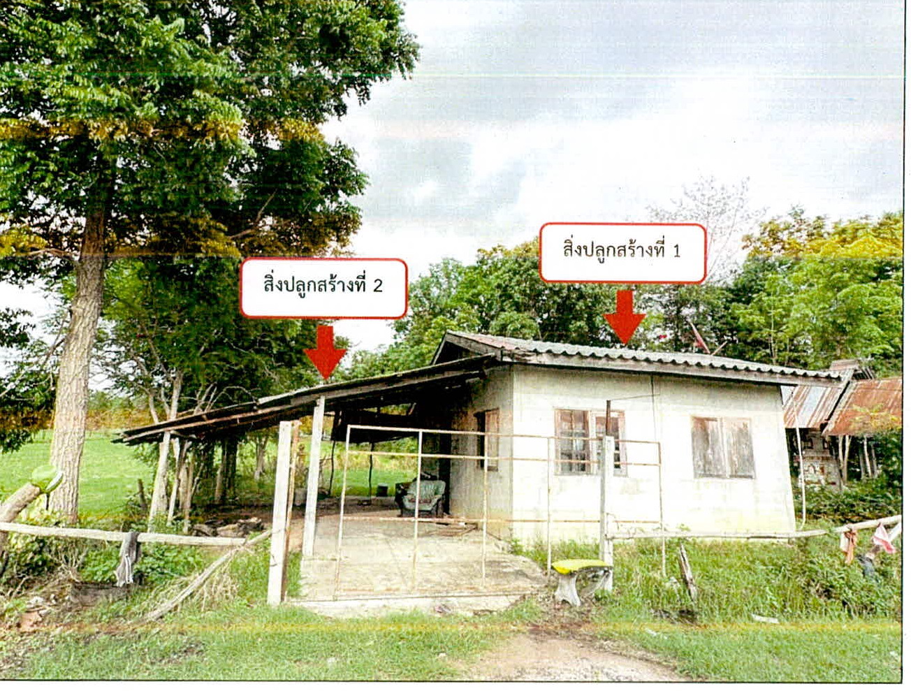 รูปที่ดินพร้อมสิ่งปลูกสร้าง ตาอ็อง เมืองสุรินทร์ สุรินทร์