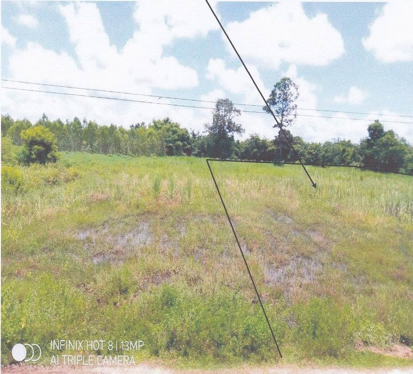 รูปที่ดินว่างเปล่า หนองเหล่า ม่วงสามสิบ อุบลราชธานี