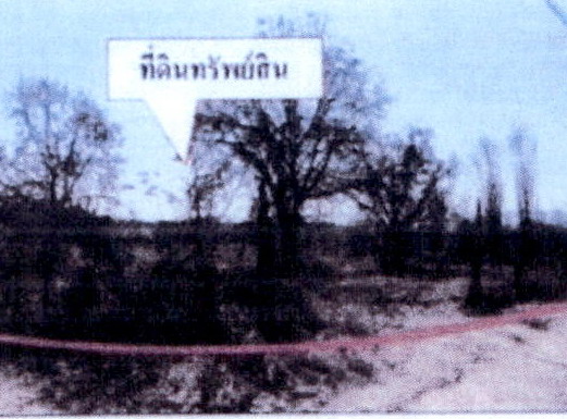 รูปที่ดินว่างเปล่า แม่เมาะ แม่เมาะ ลำปาง