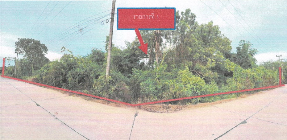 รูปที่ดินว่างเปล่า แกลง เมืองระยอง ระยอง