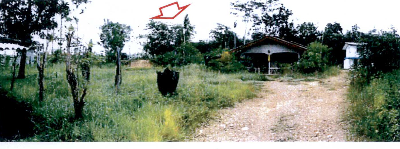 รูปที่ดินพร้อมสิ่งปลูกสร้าง วังหิน บางขัน นครศรีธรรมราช