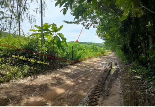 รูปที่ดินว่างเปล่า วัฒนา ส่องดาว สกลนคร