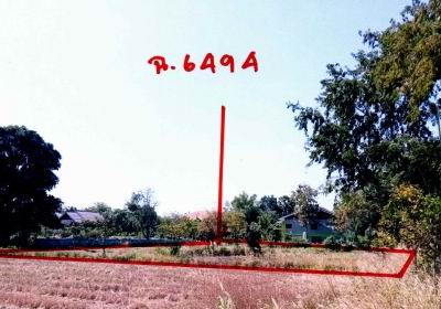 รูปที่ดินว่างเปล่า ห้วยราชา ห้วยราช บุรีรัมย์