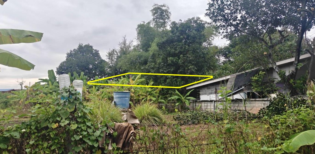 รูปที่ดินว่างเปล่า บ้านคลอง เมืองพิษณุโลก พิษณุโลก