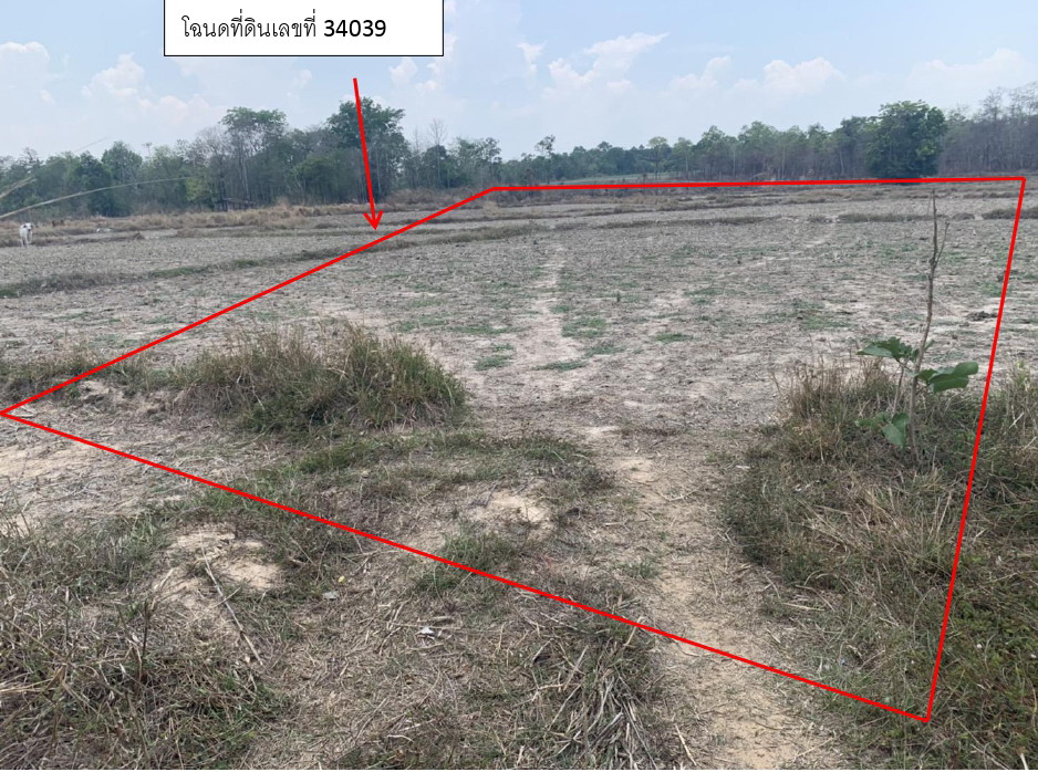 รูปที่ดินว่างเปล่า ช้างมิ่ง พรรณานิคม สกลนคร