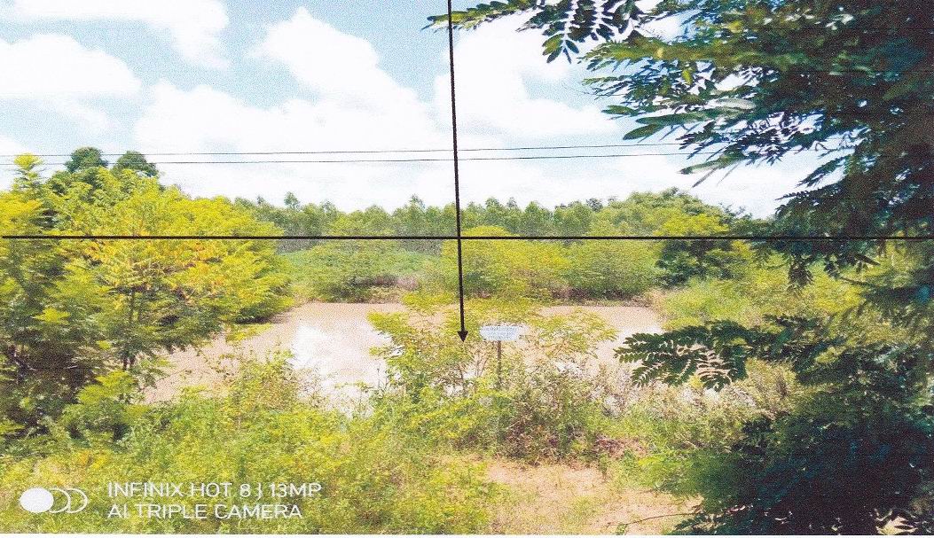 รูปที่ดินว่างเปล่า หนองเหล่า ม่วงสามสิบ อุบลราชธานี
