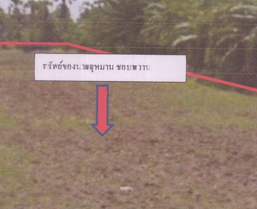 รูปที่ดินว่างเปล่า บางเขียด สิงหนคร สงขลา