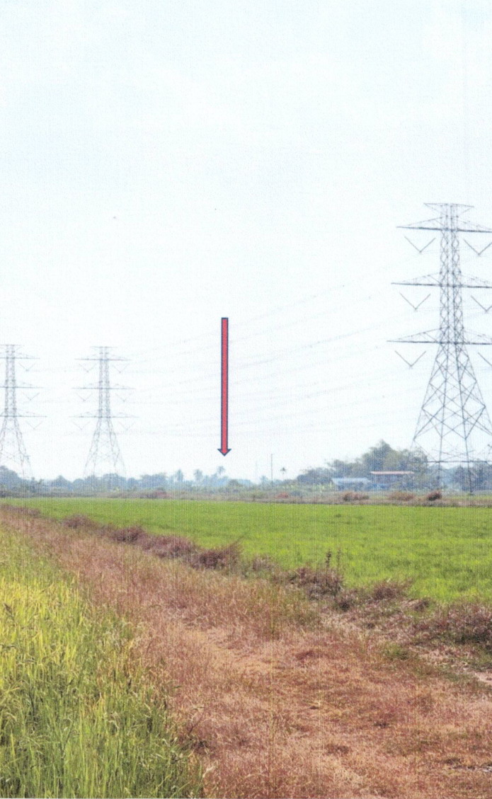 รูปที่ดินว่างเปล่า สามวาตะวันออก คลองสามวา กรุงเทพมหานคร
