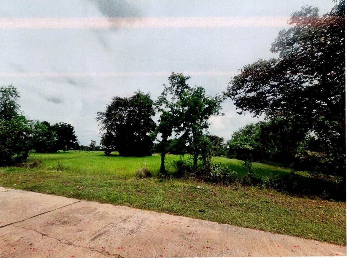 รูปที่ดินว่างเปล่า บุฤาษี เมืองสุรินทร์ สุรินทร์