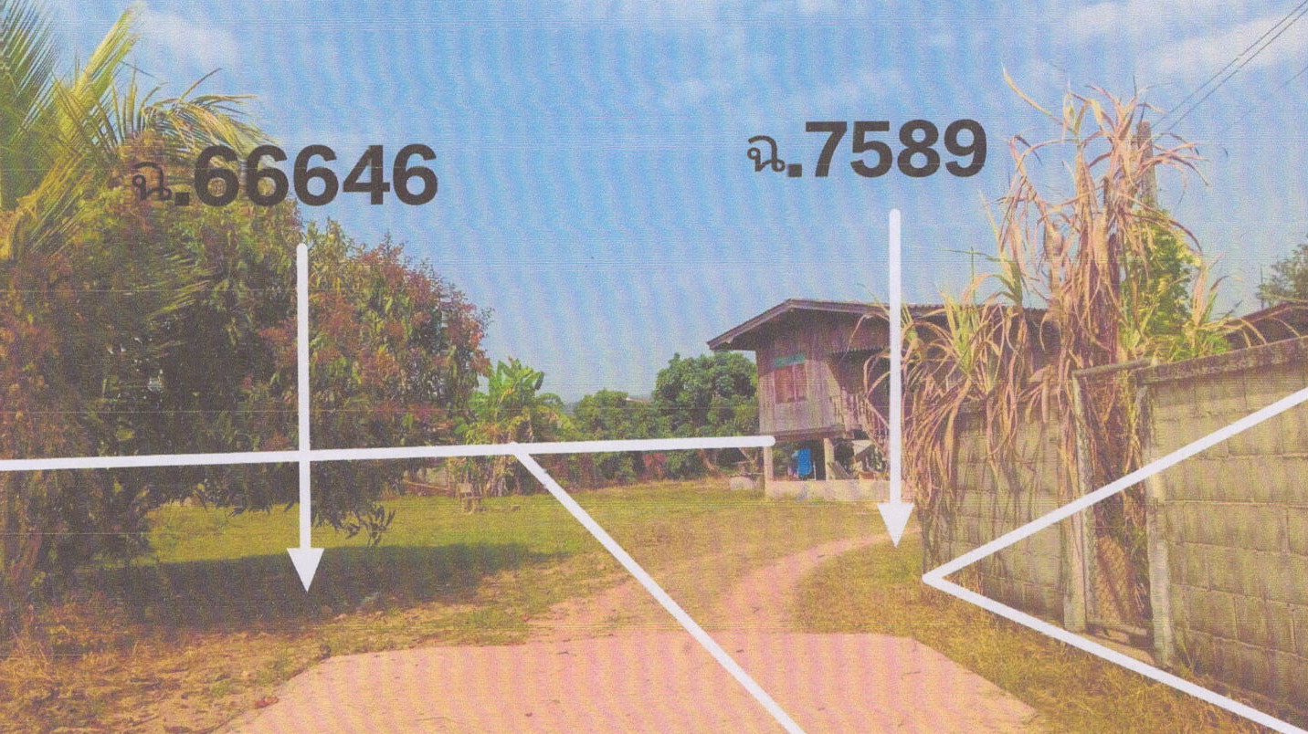 รูปที่ดินพร้อมสิ่งปลูกสร้าง เจริญเมือง พาน เชียงราย