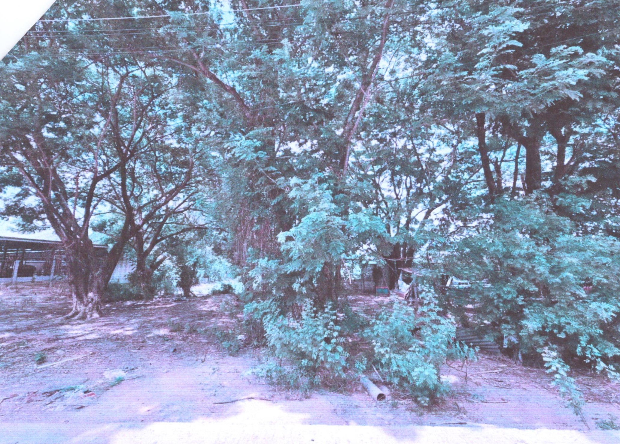 รูปที่ดินว่างเปล่า ตลาด เมืองมหาสารคาม มหาสารคาม