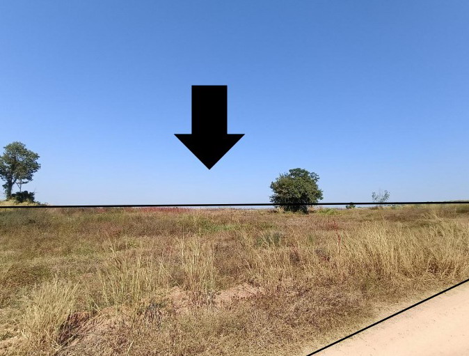รูปที่ดินว่างเปล่า ลานดอกไม้ตก โกสัมพีนคร กำแพงเพชร