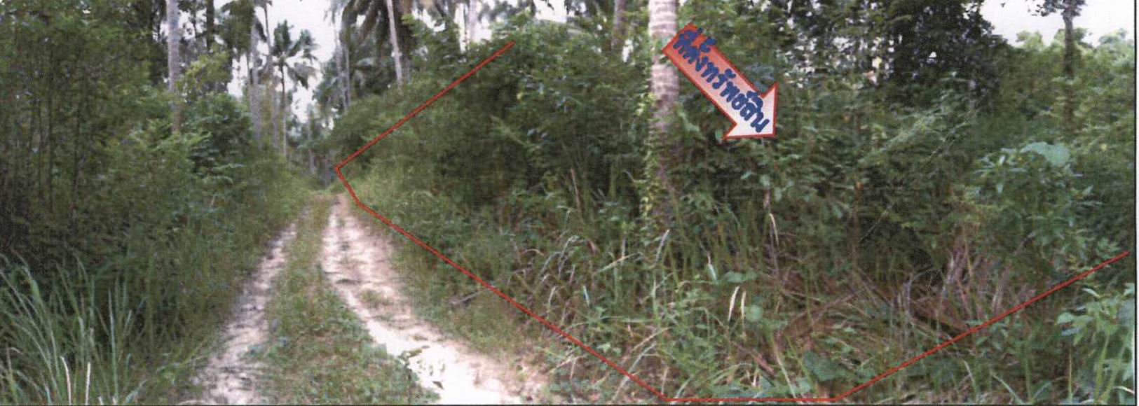 รูปที่ดินว่างเปล่า หน้าเมือง เกาะสมุย สุราษฎร์ธานี