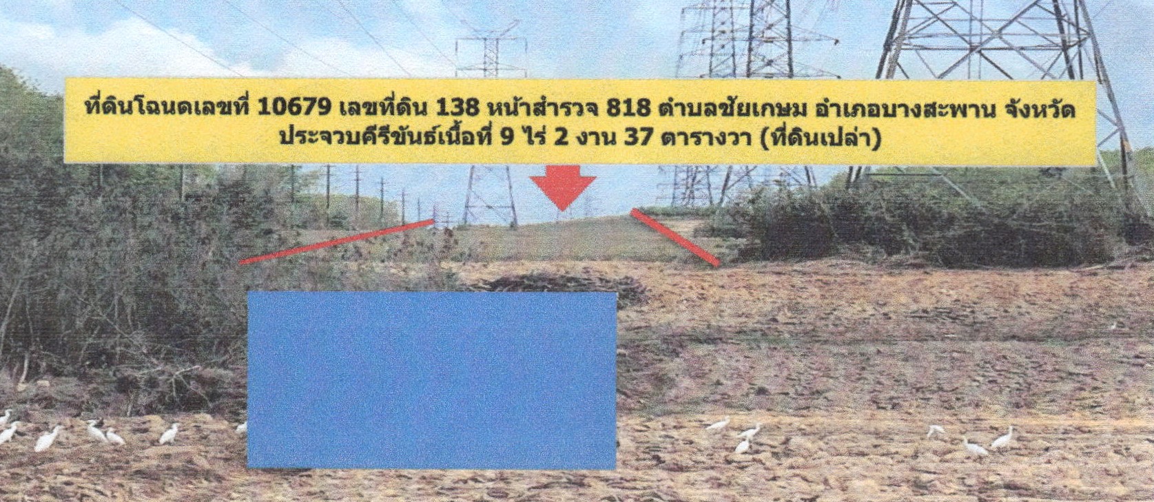 รูปที่ดินว่างเปล่า ชัยเกษม บางสะพาน ประจวบคีรีขันธ์