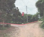 รูปที่ดินว่างเปล่า แม่สูน ฝาง เชียงใหม่
