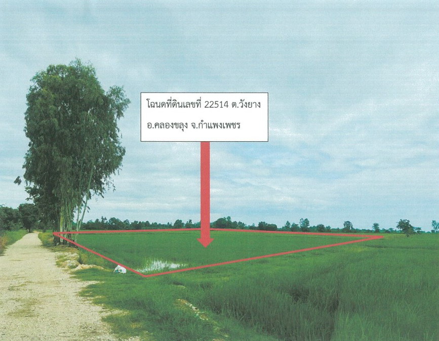 รูปที่ดินว่างเปล่า วังยาง คลองขลุง กำแพงเพชร