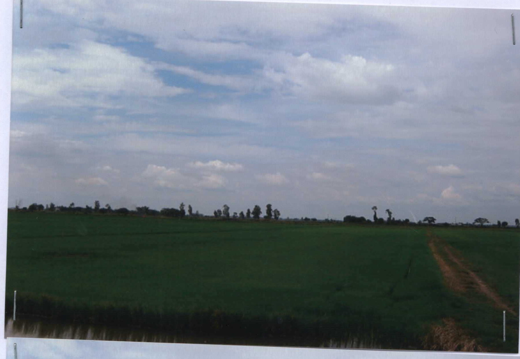 รูปที่ดินว่างเปล่า วัดโบสถ์ บางปลาม้า สุพรรณบุรี