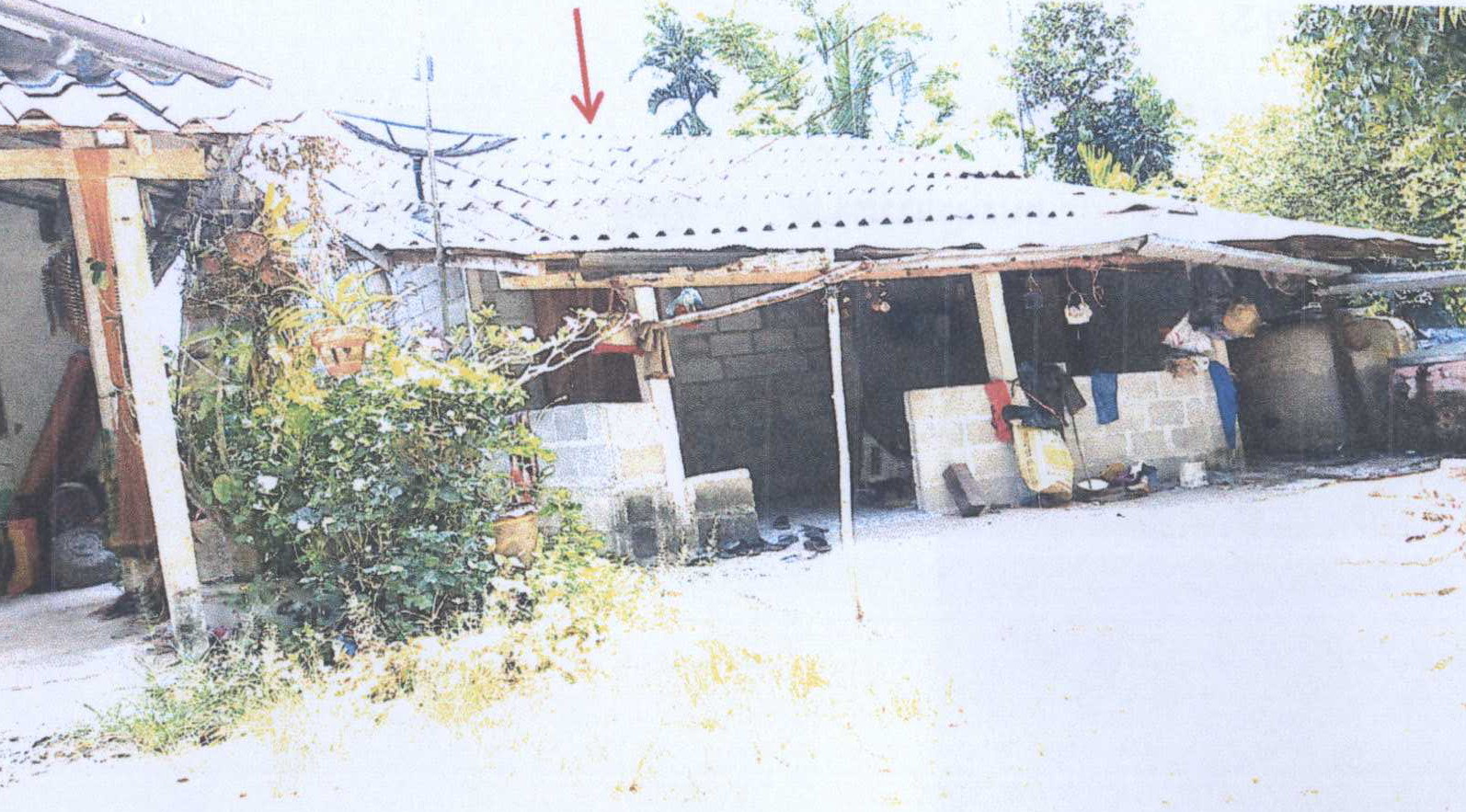 รูปที่ดินพร้อมสิ่งปลูกสร้าง บ้านลำนาว บางขัน นครศรีธรรมราช