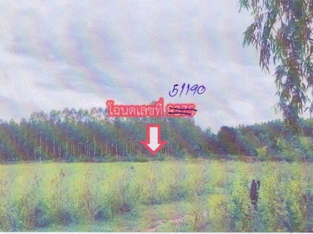 รูปที่ดินว่างเปล่า เมืองใหม่ ศรีบุญเรือง หนองบัวลำภู