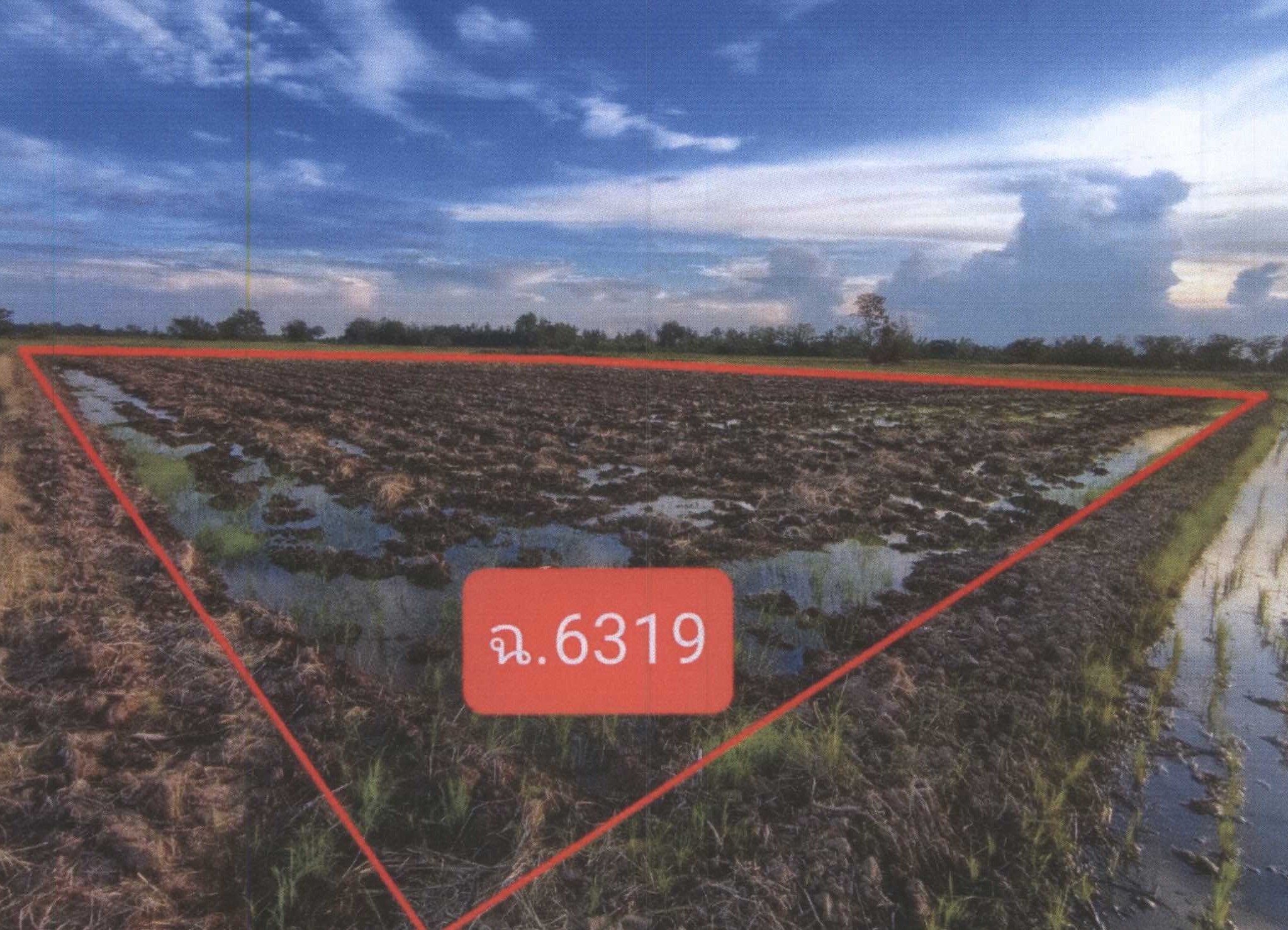 รูปที่ดินว่างเปล่า ไร่อ้อย พิชัย อุตรดิตถ์