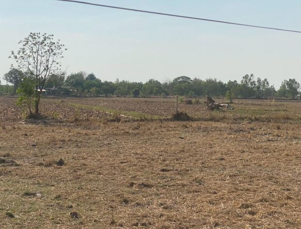 รูปที่ดินว่างเปล่า หนองพอก ธวัชบุรี ร้อยเอ็ด