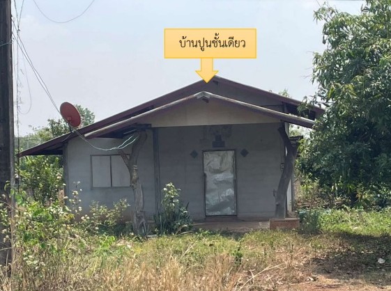 รูปที่ดินพร้อมสิ่งปลูกสร้าง นาแต้ คำตากล้า สกลนคร