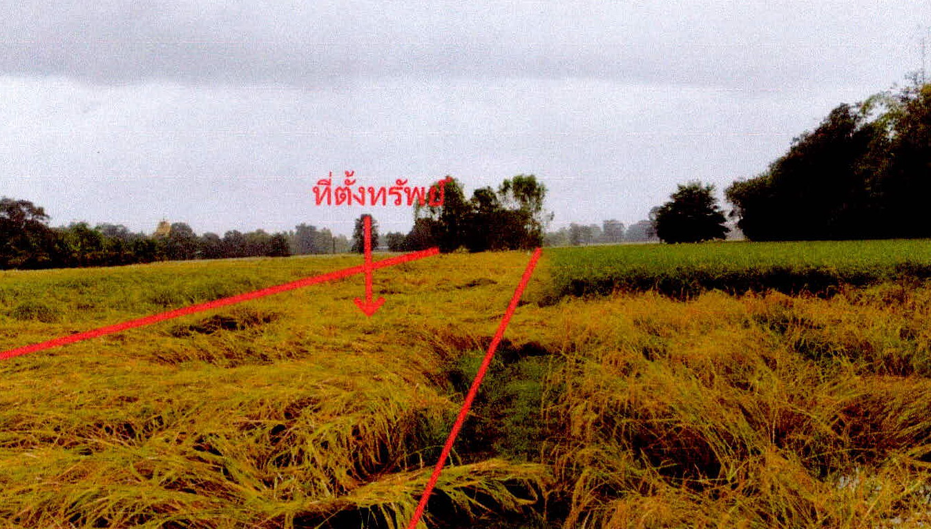 รูปที่ดินว่างเปล่า หนองขวาว ศีขรภูมิ สุรินทร์