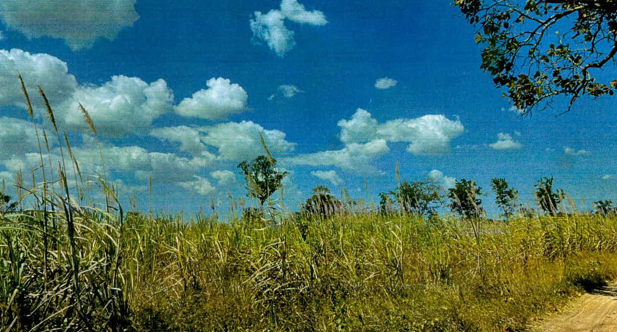 รูปที่ดินว่างเปล่า ตะเคียน กาบเชิง สุรินทร์