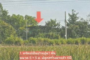 รูปที่ดินพร้อมสิ่งปลูกสร้าง ห้วยหมอนทอง กำแพงแสน นครปฐม