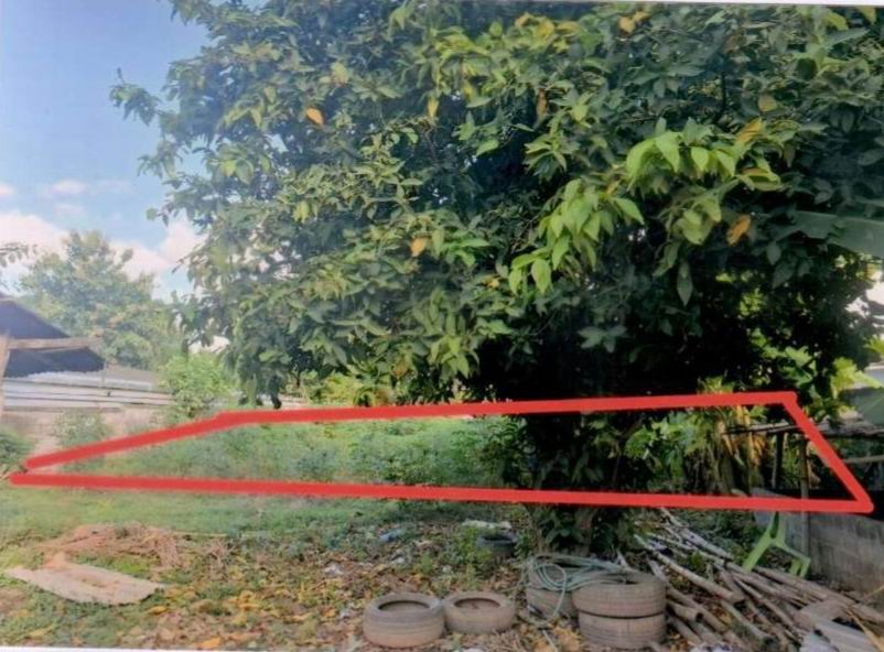 รูปที่ดินว่างเปล่า น้ำอ้อม กันทรลักษ์ ศรีสะเกษ