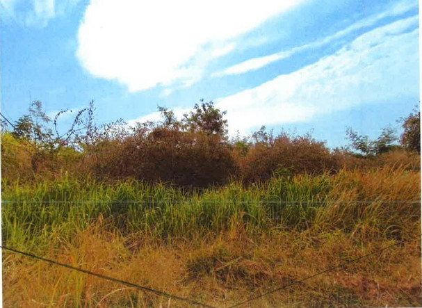 รูปที่ดินว่างเปล่า บ้านเดื่อ เกษตรสมบูรณ์ ชัยภูมิ