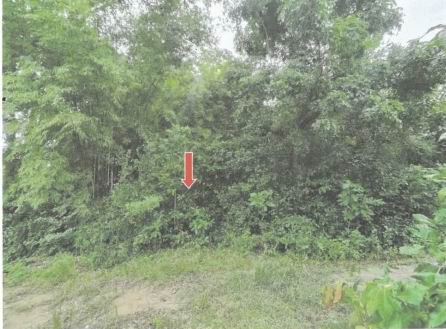 รูปที่ดินว่างเปล่า หลุมเข้า หนองขาหย่าง อุทัยธานี
