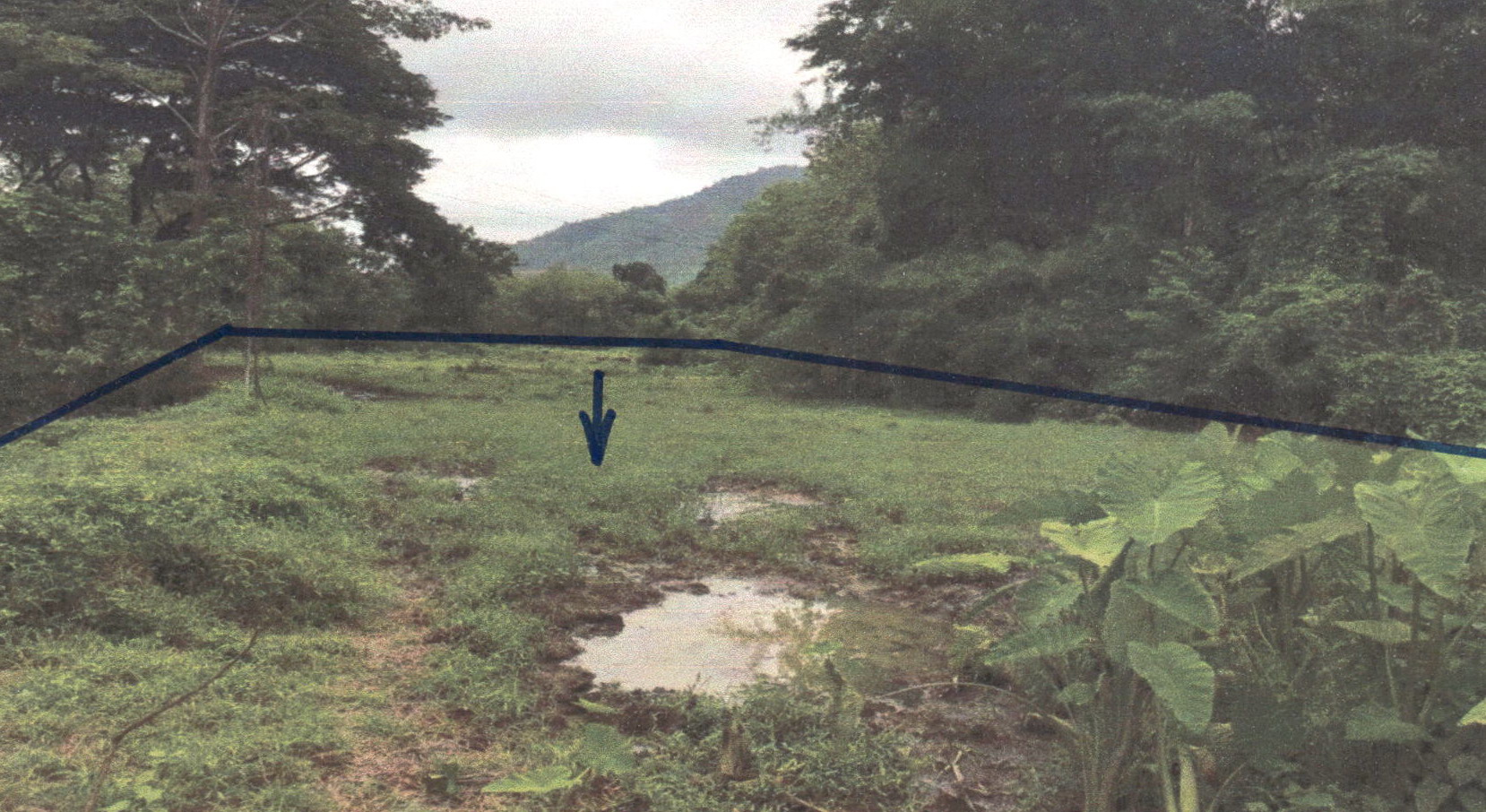 รูปที่ดินว่างเปล่า ขุนฝาง เมืองอุตรดิตถ์ อุตรดิตถ์