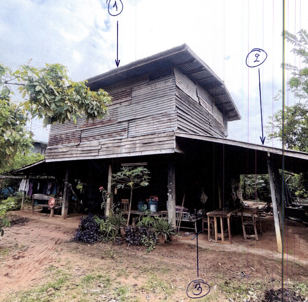 รูปที่ดินพร้อมสิ่งปลูกสร้าง หนองระเวียง พิมาย นครราชสีมา