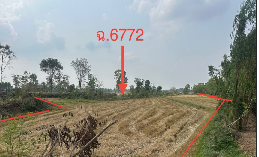 รูปที่ดินว่างเปล่า ไผ่เขียว สว่างอารมณ์ อุทัยธานี
