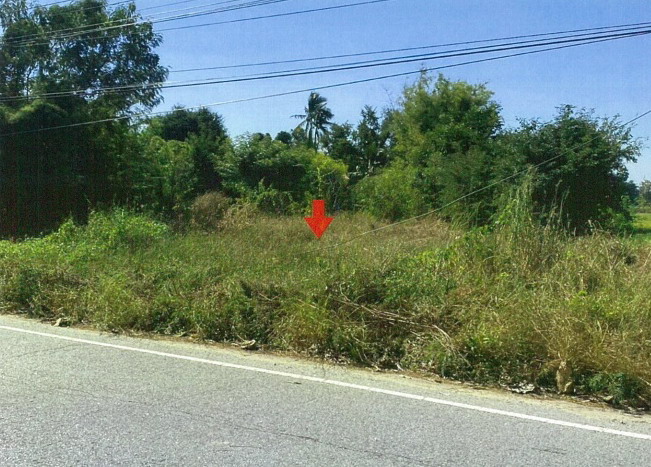 รูปที่ดินว่างเปล่า เนินแจง เมืองอุทัยธานี อุทัยธานี