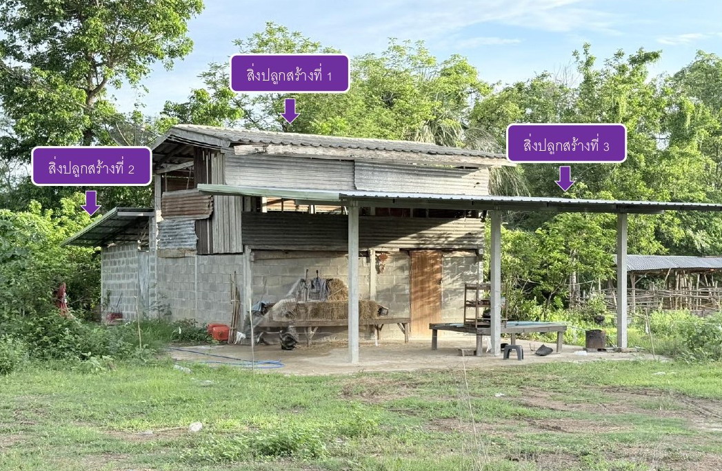 รูปที่ดินพร้อมสิ่งปลูกสร้าง วังประจบ เมืองตาก ตาก